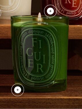 NEW Diptyque Figuier Candle 300g 10.6oz Diptyque Fig MEDIUM CANDLE